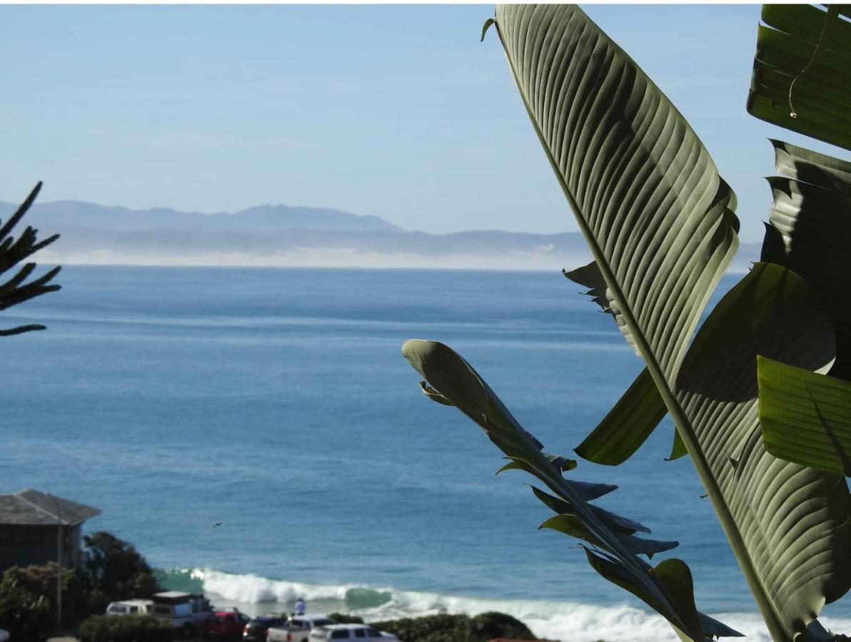 Surfstar At Mimosa Jeffreys Bay Apartment Exterior foto