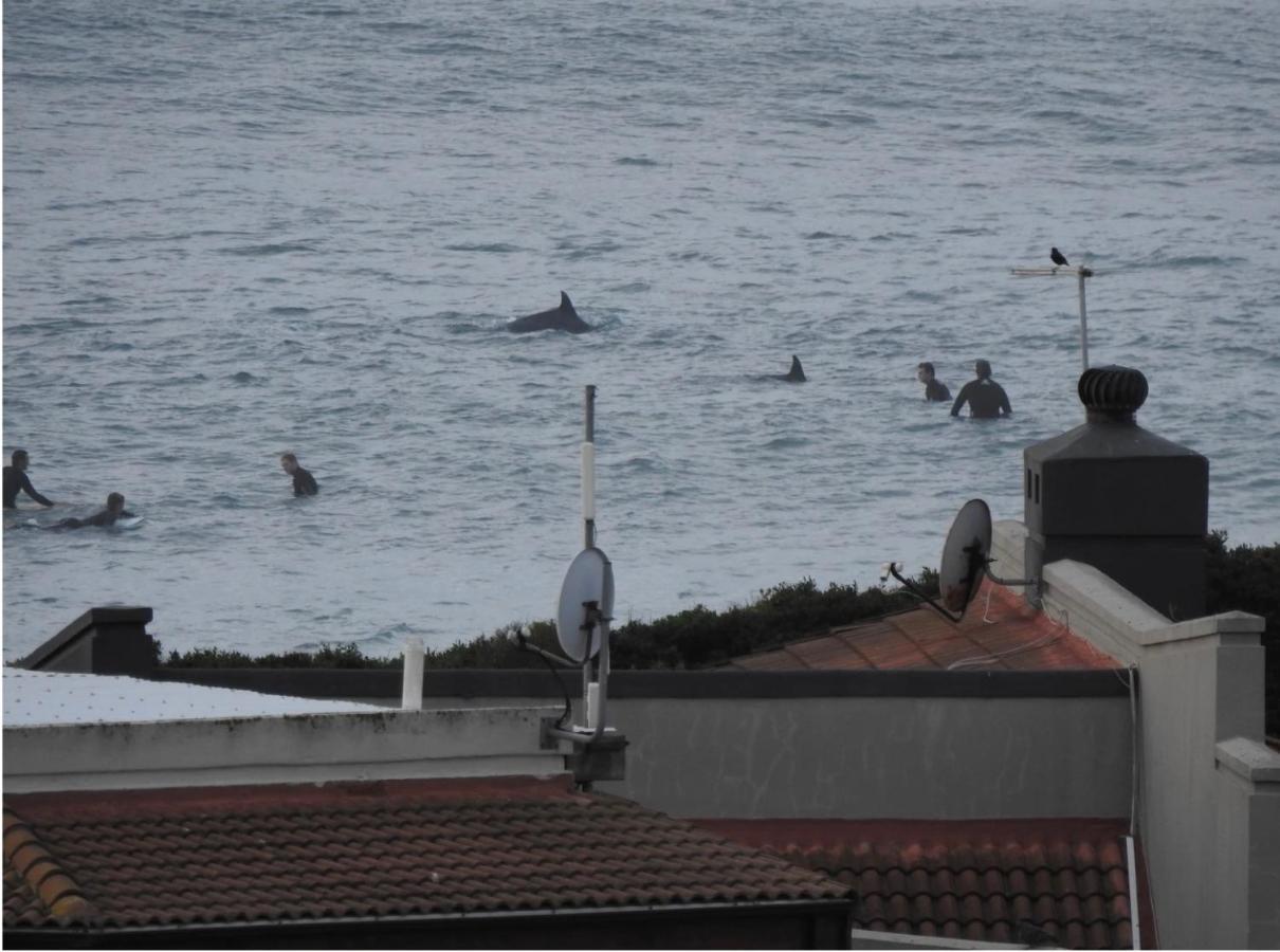 Surfstar At Mimosa Jeffreys Bay Apartment Exterior foto