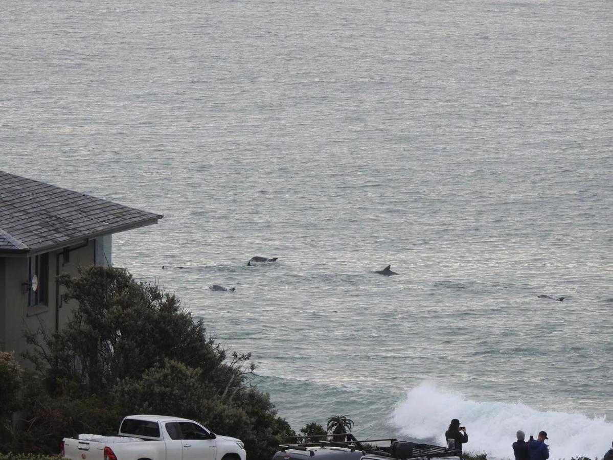 Surfstar At Mimosa Jeffreys Bay Apartment Exterior foto