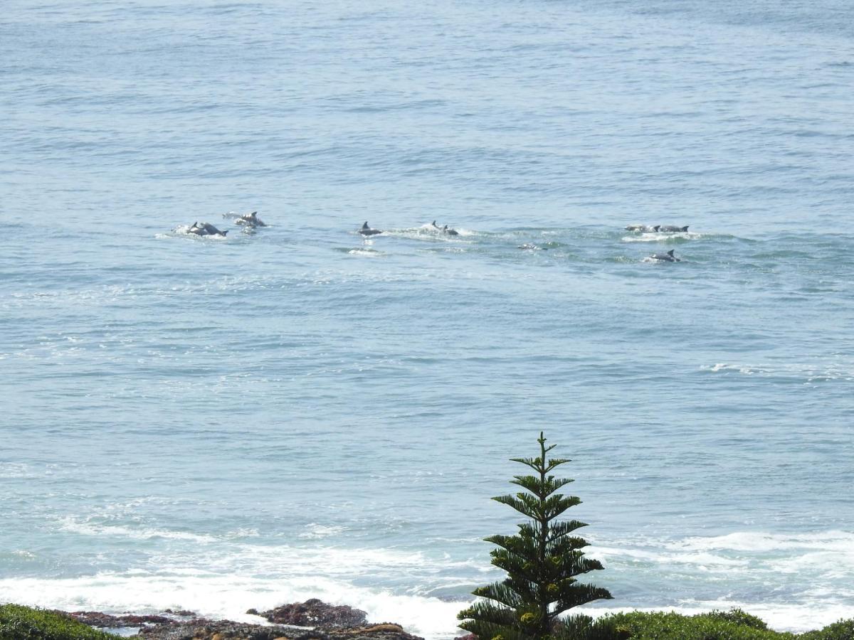Surfstar At Mimosa Jeffreys Bay Apartment Exterior foto