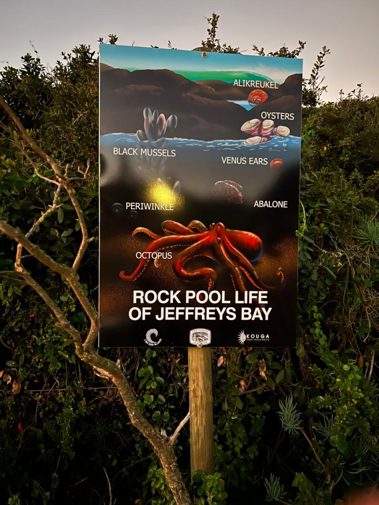 Surfstar At Mimosa Jeffreys Bay Apartment Exterior foto