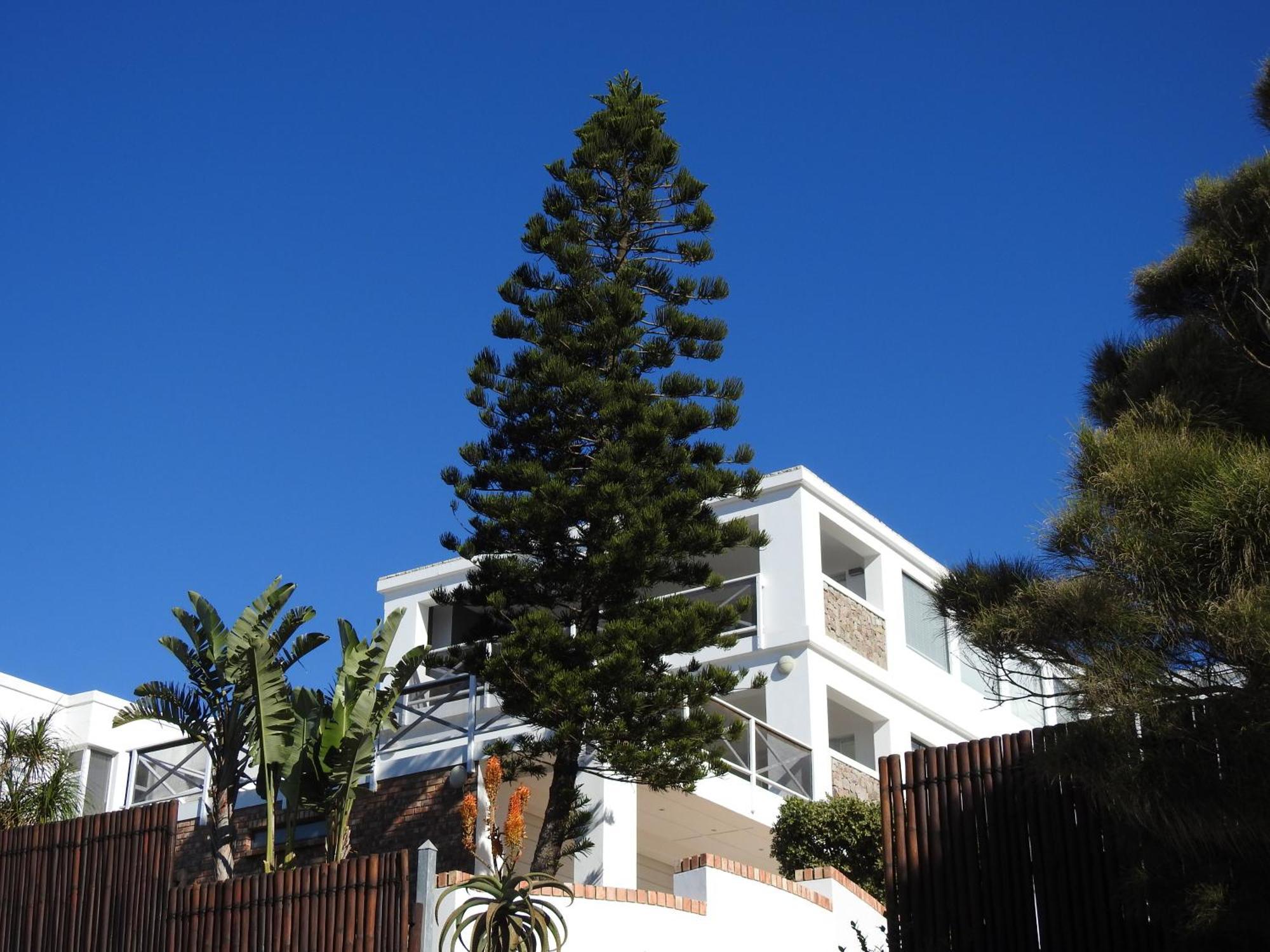 Surfstar At Mimosa Jeffreys Bay Apartment Exterior foto
